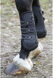 Harry's Horse Gamaschen aus Neopren für Pferde Schwarz Vollblut/VB – Bild 1 von 2