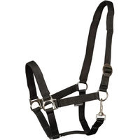 Produktbild von Harry's Horse Gepolstertes Halfter für Ponys in Schwarz