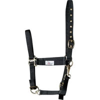 Produktbild von Harry's Horse Halfter aus Kunststoff in Schwarz