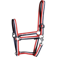 Produktbild von Harry's Horse Halfter Economy für Shetty in Rot-Weiß-Blau aus Kunststoff