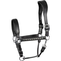 Produktbild von Harry's Horse Halfter für Pferde