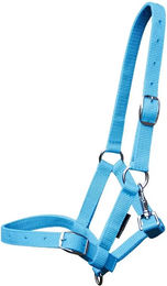 Produktbild von Harry's Horse Halfter für Fohlen aus Nylon in Blau