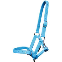 Produktbild von Harry's Horse Halfter für Fohlen aus Nylon in Blau
