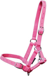 Produktbild von Harry's Horse Halfter für Fohlen aus Nylon in Rosa