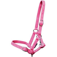 Produktbild von Harry's Horse Halfter für Fohlen aus Nylon in Rosa