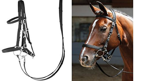 Harry's Horse Halfter für Ponys aus Nylon in Schwarz – Bild 1 von 3