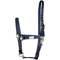 Produktbild von Harry's Horse Halfter für Ponys in Navy Blau aus Kunststoff