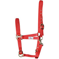 Produktbild von Harry's Horse Halfter für Ponys in Rot, 3-fach verstellbar