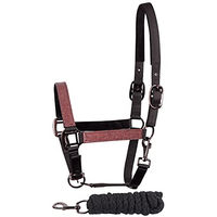 Produktbild von Harry's Horse Halfter und Longiergurt für Pferde Metallic II in Schwarz und Kupfer