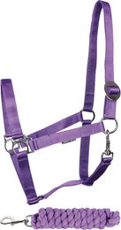 Produktbild von Harry's Horse Halfter und Longiergurt Set aus Baumwolle für Pferde Lila