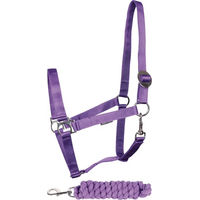 Produktbild von Harry's Horse Halfter und Longiergurt Set aus Baumwolle für Pferde Lila