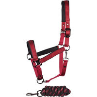 Produktbild von Harry's Horse Halfter und Longiergurt Set Satin Eli für Pferde in Rot