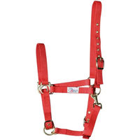 Produktbild von Harry's Horse Halfter und Stricke in Rot
