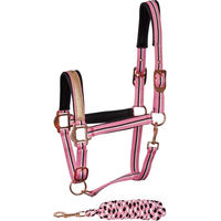 Produktbild von Harry's Horse Halfter und Stricke Set für Pony in Rosa mit Silber und Neopren
