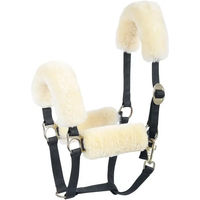 Produktbild von Harry's Horse Halsterset Merino in Cream mit Reithalfter-Scheide aus Wolle