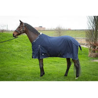 Produktbild von Harry's Horse Highliner Comfort Boa Outdoor-Pferdedecke in Blau