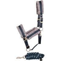 Produktbild von Harry's Horse Just Ride Retro Soft Halfter und Longiergurt Set für Pferde aus Neopren