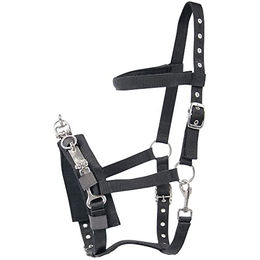 Harry's Horse Kaptoom Gamaschen Schwarz Größe Full für Warmblut – Bild 1 von 2