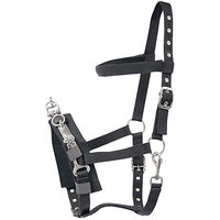 Produktbild von Harry's Horse Kaptoom Gamaschen Schwarz Größe Full für Warmblut