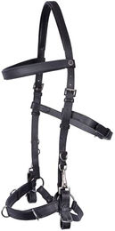 Produktbild von Harry's Horse Kaptoom Kopfstück aus Leder für Pferde in Schwarz mit Silberfarbenen Beschlägen Größe Full