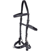 Produktbild von Harry's Horse Kaptoom Kopfstück aus Leder für Pferde in Schwarz mit Silberfarbenen Beschlägen Größe Full