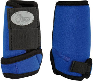 Produktbild von Harry's Horse Knieschutz Gamaschen aus Neopren für Shetty in Blau