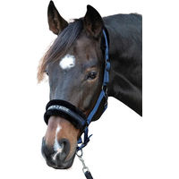 Produktbild von Harry's Horse Leder Halfter für Pferde und Ponys Lyrics Quotes in Blau oder Rosa