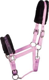 Produktbild von Harry's Horse Leder Halfter für Shetty in Rosa und Lila