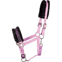 Produktbild von Harry's Horse Leder Halfter für Shetty in Rosa und Lila