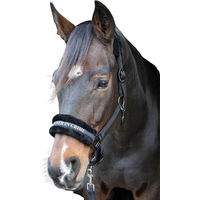 Produktbild von Harry's Horse Leder Halfter für Shetty in Schwarz oder Rosa