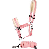 Produktbild von Harry's Horse Leder Set aus Halfter und Longiergurt für Ponys in Rosa