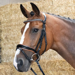 Produktbild von Harry's Horse Leder Trense für Warmblut in Braun oder Schwarz