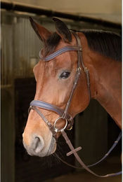Produktbild von Harry's Horse Leder Zaumzeug für Pferde in Braun