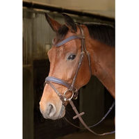 Produktbild von Harry's Horse Leder Zaumzeug für Pferde in Braun