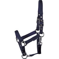 Produktbild von Harry's Horse Lederhalfter für Fohlen in Blau