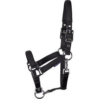Produktbild von Harry's Horse Lederhalfter für Fohlen in Schwarz