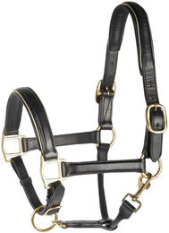 Harry's Horse Lederhalfter für Pferde Schwarz mit Goldbesatz Größe Full – Bild 1 von 5