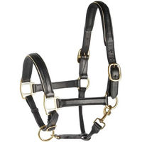 Produktbild von Harry's Horse Lederhalfter für Pferde Schwarz mit Goldbesatz Größe Full