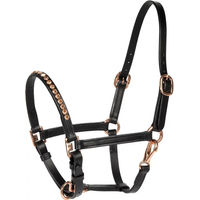 Produktbild von Harry's Horse Lederhalfter für Ponys in Schwarz