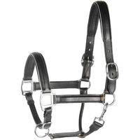 Produktbild von Harry's Horse Lederhalfter für Ponys in Schwarz mit silberner Bies