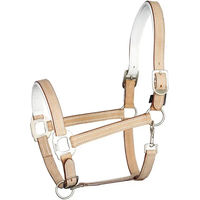 Produktbild von Harry's Horse Lederhalfter für Warmblut in Beige
