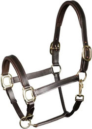 Harry's Horse Lederhalfter gepolstert braun für Vollblut Pferde – Bild 1 von 2