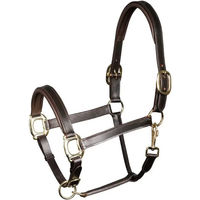 Produktbild von Harry's Horse Lederhalfter gepolstert braun für Vollblut Pferde