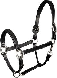 Harry's Horse Lederhalfter gepolstert Schwarz Größe L – Bild 1 von 2
