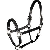 Produktbild von Harry's Horse Lederhalfter gepolstert Schwarz Größe L