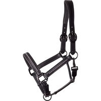 Produktbild von Harry's Horse Lederhalfter Metallic Schwarz für Pferde