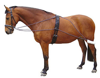 Produktbild von Harry's Horse Longeerhulpteugel für Pferde in Bunt Größe L
