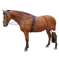 Produktbild von Harry's Horse Longeerhulpteugel für Pferde in Bunt Größe L