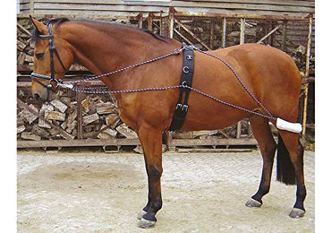 Harry's Horse Longeerhulpteugel für Ponys aus Polyester in Bunt und Weiß – Bild 1 von 4