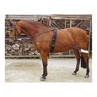 Produktbild von Harry's Horse Longeerhulpteugel für Ponys aus Polyester in Bunt und Weiß